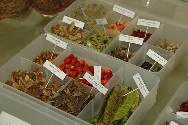 Cerimonia di inaugurazione del Museo dell�Erbario 