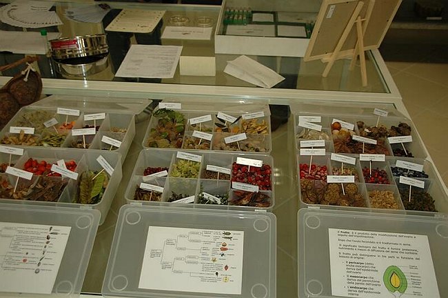 Cerimonia di inaugurazione del Museo dell�Erbario 