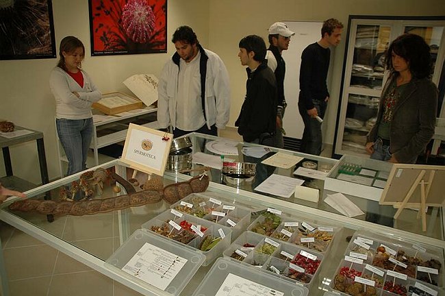 Cerimonia di inaugurazione del Museo dell�Erbario 