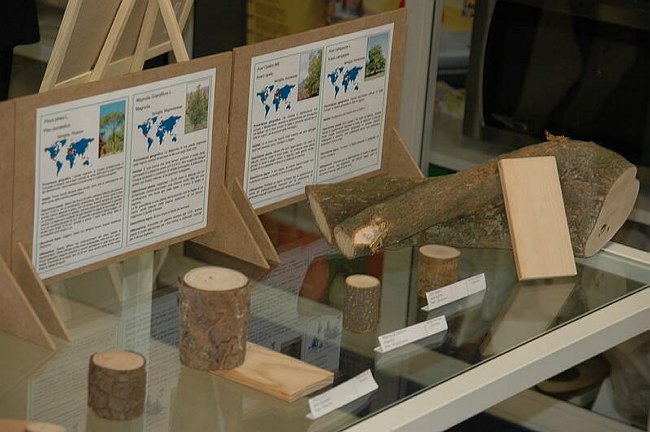 Cerimonia di inaugurazione del Museo dell�Erbario 