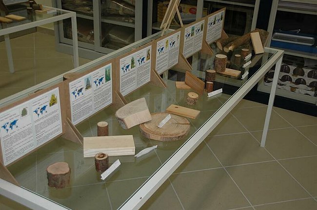 Cerimonia di inaugurazione del Museo dell�Erbario 