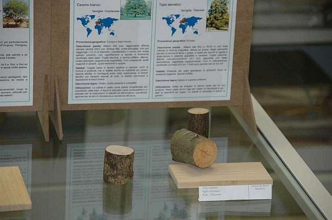 Cerimonia di inaugurazione del Museo dell�Erbario 