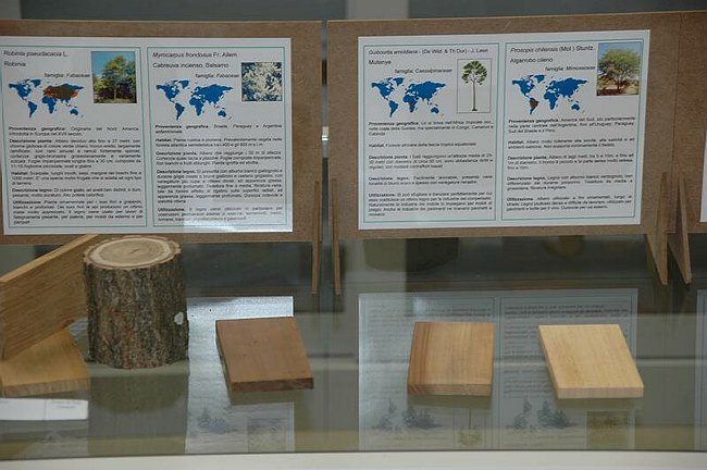 Cerimonia di inaugurazione del Museo dell�Erbario 