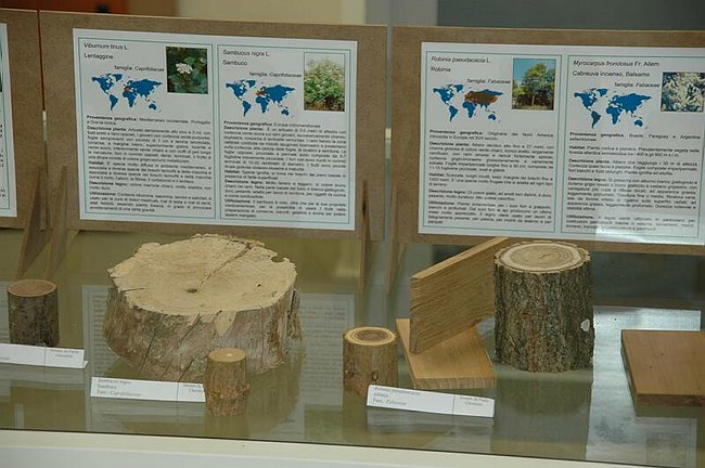 Cerimonia di inaugurazione del Museo dell�Erbario 