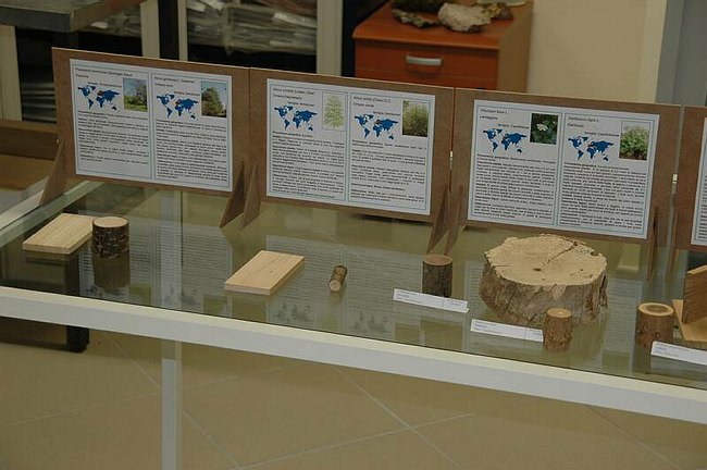 Cerimonia di inaugurazione del Museo dell�Erbario 