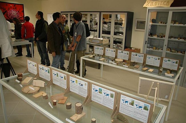 Cerimonia di inaugurazione del Museo dell�Erbario 