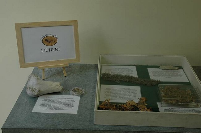 Cerimonia di inaugurazione del Museo dell�Erbario 