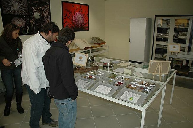 Cerimonia di inaugurazione del Museo dell�Erbario 