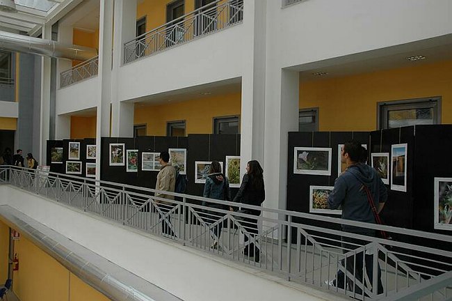 Cerimonia di inaugurazione del Museo dell�Erbario 