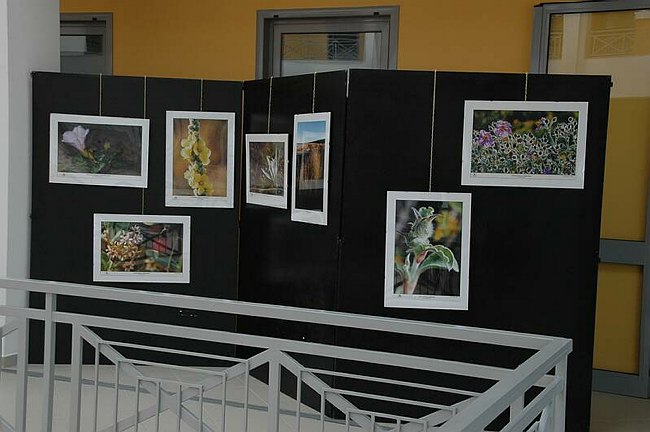 Cerimonia di inaugurazione del Museo dell�Erbario 