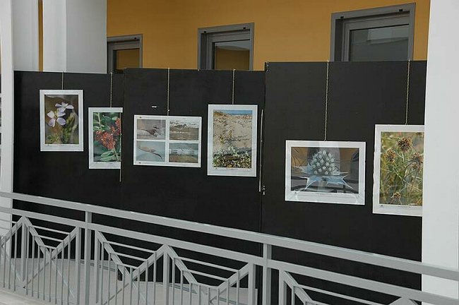 Cerimonia di inaugurazione del Museo dell�Erbario 