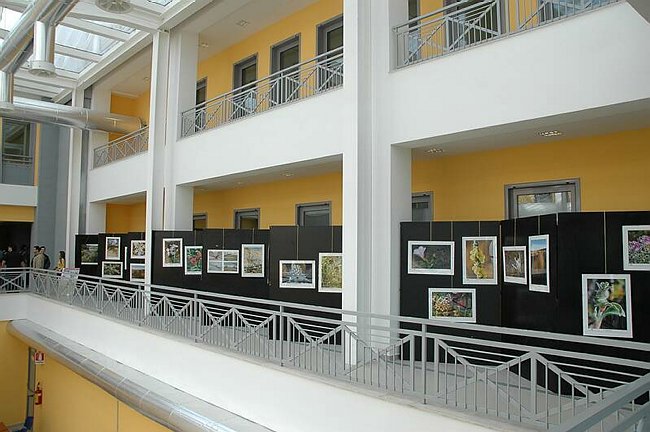 Cerimonia di inaugurazione del Museo dell�Erbario 