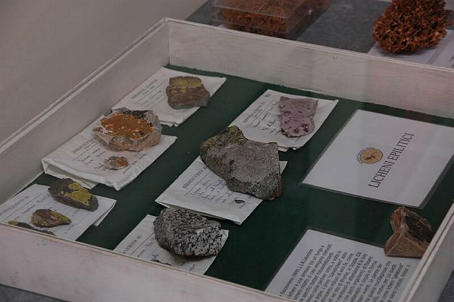 Cerimonia di inaugurazione del Museo dell�Erbario 