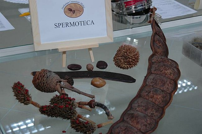 Cerimonia di inaugurazione del Museo dell�Erbario 