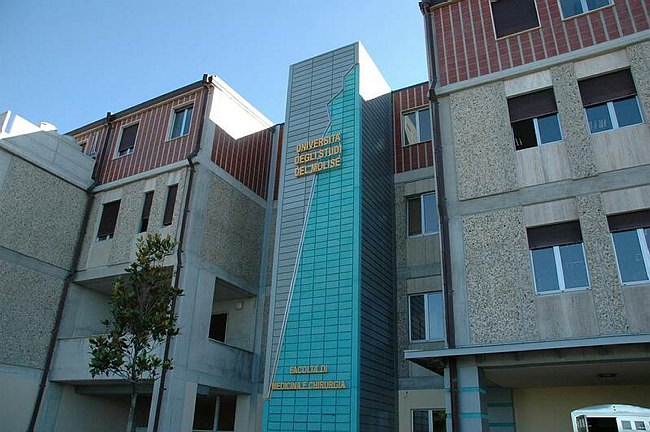 Facolt� di Medicina e Chirurgia