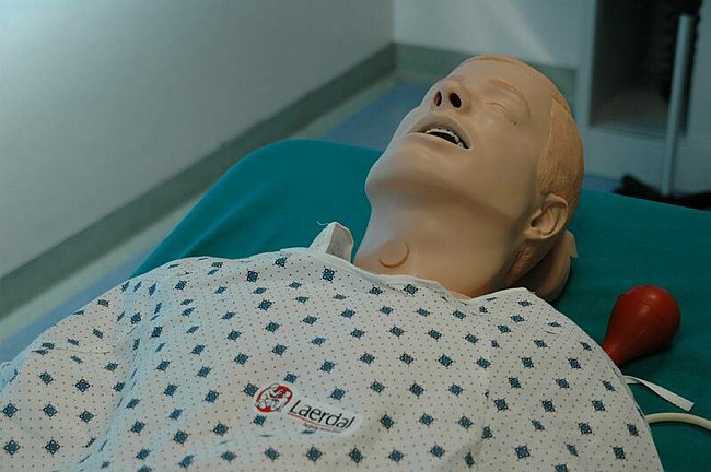 Facolt� di Medicina e Chirurgia