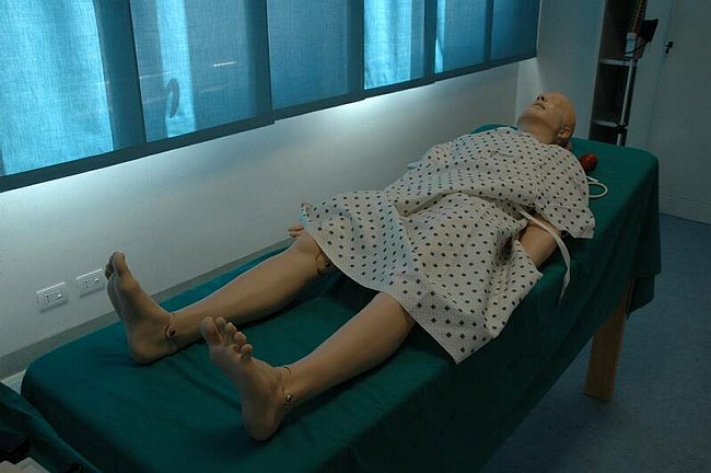 Facolt� di Medicina e Chirurgia