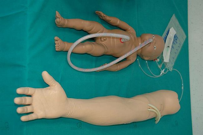 Facolt� di Medicina e Chirurgia