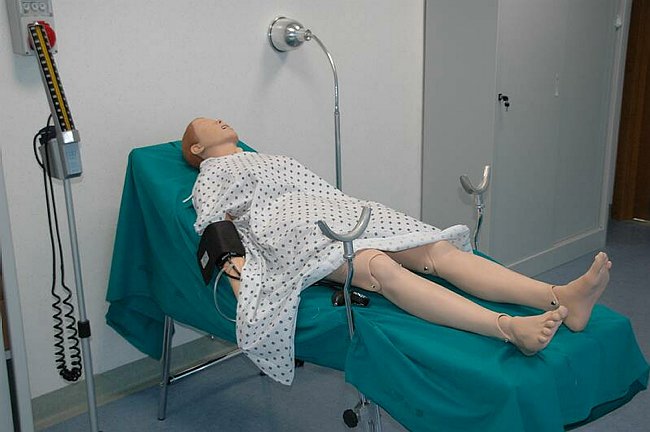 Facolt� di Medicina e Chirurgia