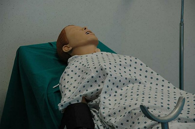 Facolt� di Medicina e Chirurgia