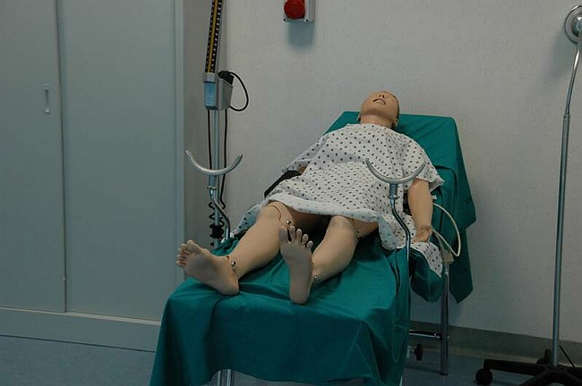 Facolt� di Medicina e Chirurgia