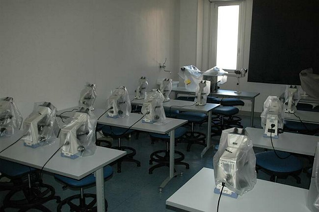 Facolt� di Medicina e Chirurgia