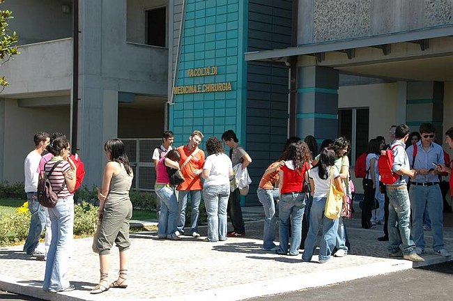Facolt� di Medicina e Chirurgia