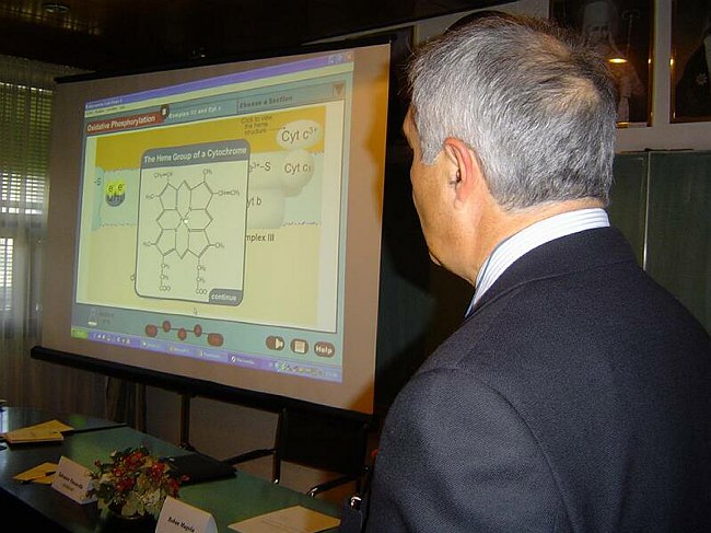 Programma Interreg III/A - �Progetto TIORCAS�