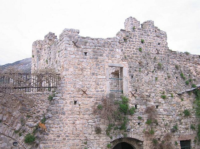 Programma Interreg III/A - �Progetto TIORCAS�