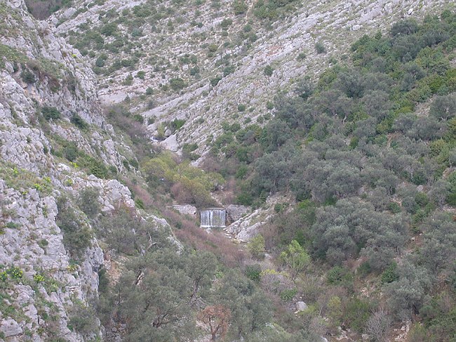 Programma Interreg III/A - �Progetto TIORCAS�