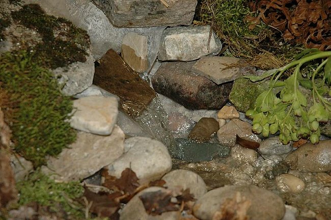 Visite guidate e laboratori