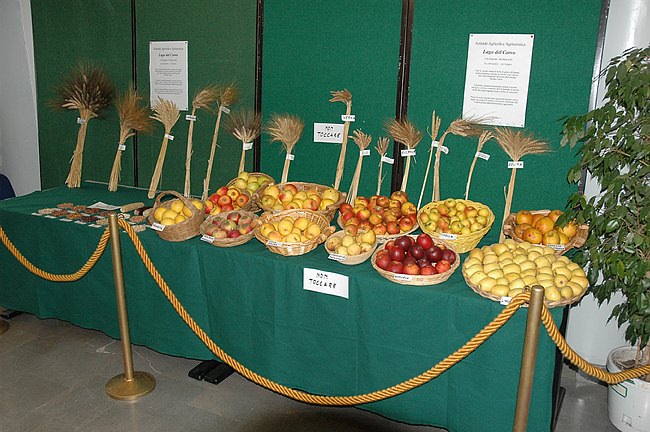 Visite guidate e laboratori