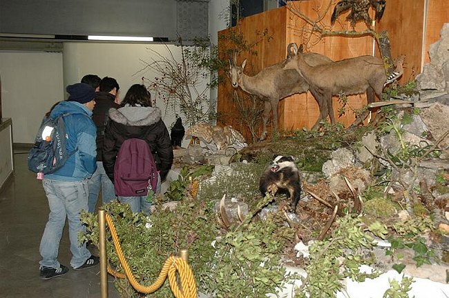 Visite guidate e laboratori