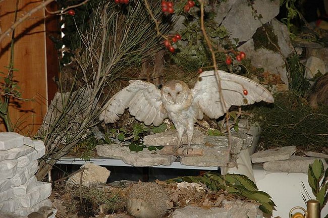 Visite guidate e laboratori