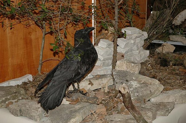 Visite guidate e laboratori