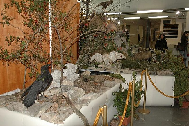 Visite guidate e laboratori