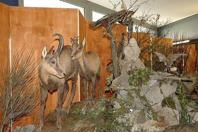 Visite guidate e laboratori