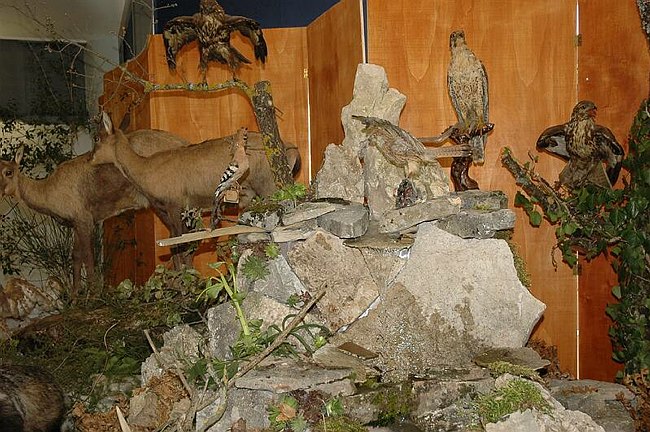 Visite guidate e laboratori