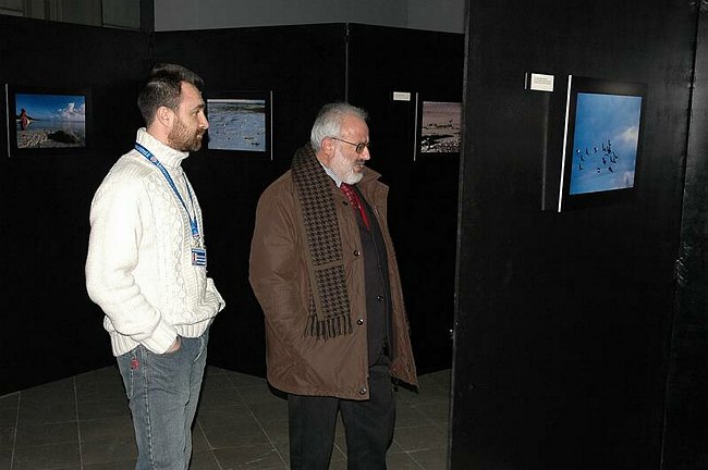 �Landscape and wildlife in Tanzania�