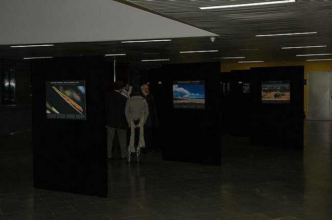 �Landscape and wildlife in Tanzania�