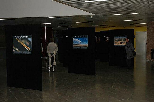 �Landscape and wildlife in Tanzania�