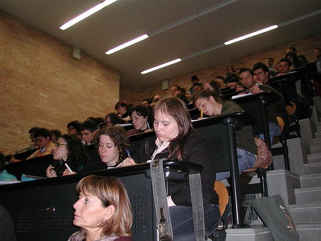 La contaminazione del suolo e gli effetti sull�ambiente