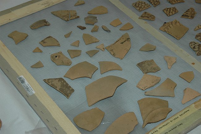 Universit� del Molise