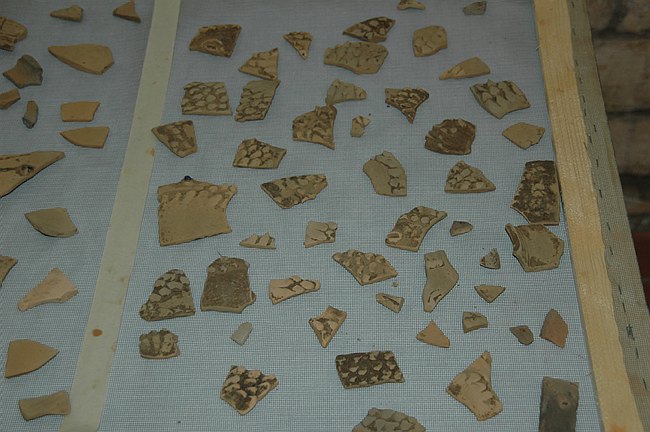 Universit� del Molise