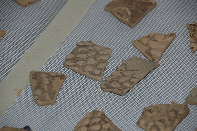 Universit� del Molise