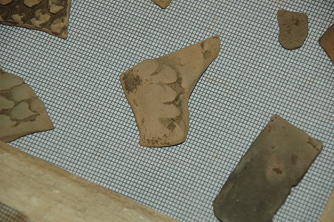 Universit� del Molise