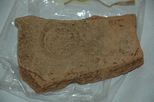 Universit� del Molise