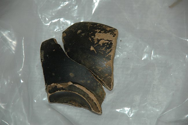 Universit� del Molise