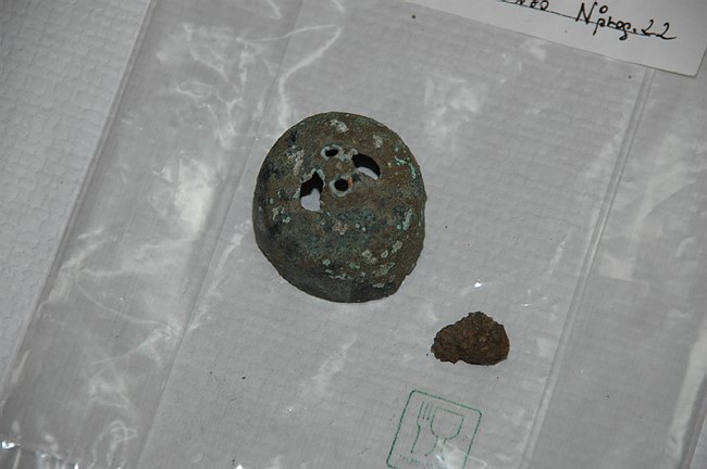 Universit� del Molise