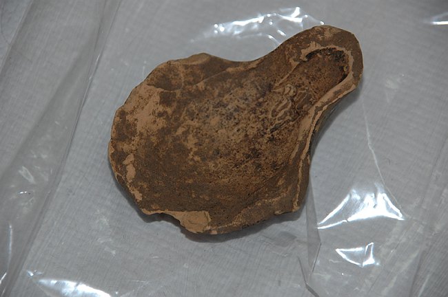 Universit� del Molise